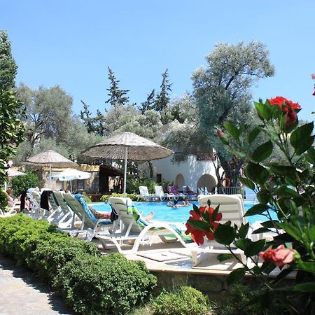 Toloman Bitezpark Apartments Bodrum Exterior foto
